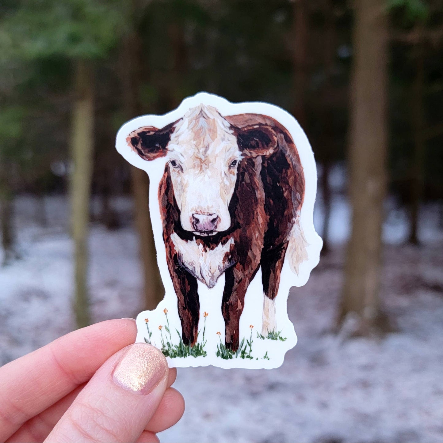 Hereford Red and White Cow Vinyl Sticker