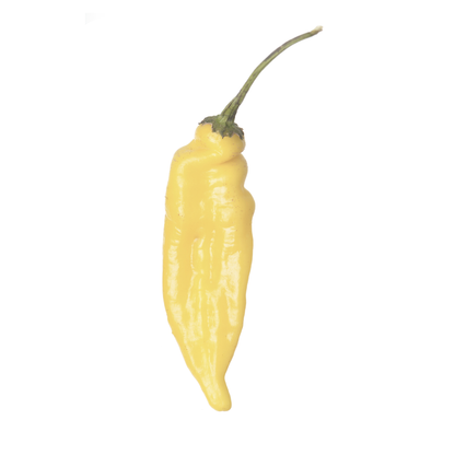 Lemon Drop Pepper Tarot Garden
