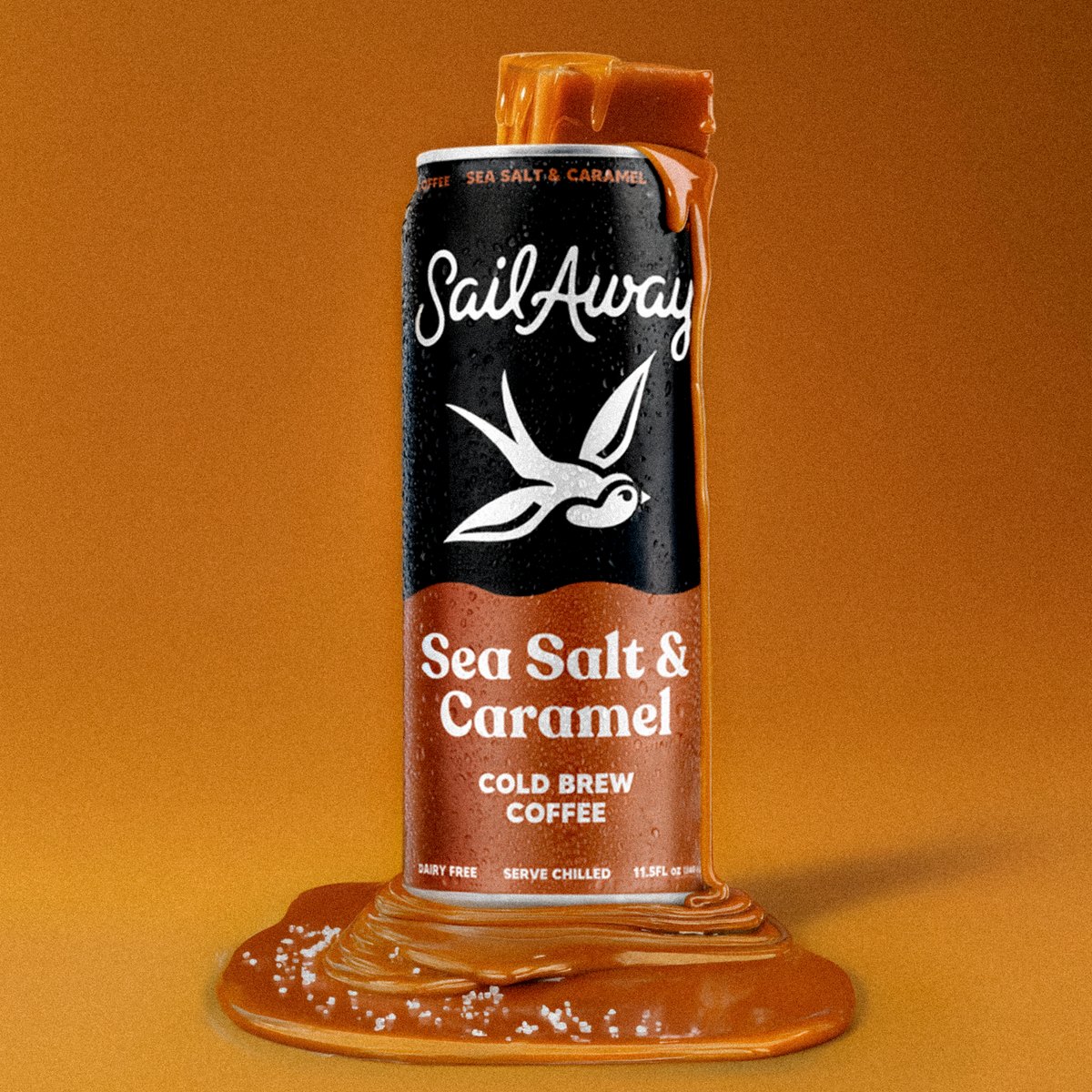 Cold Brew Coffee Cans - Sea Salt & Caramel