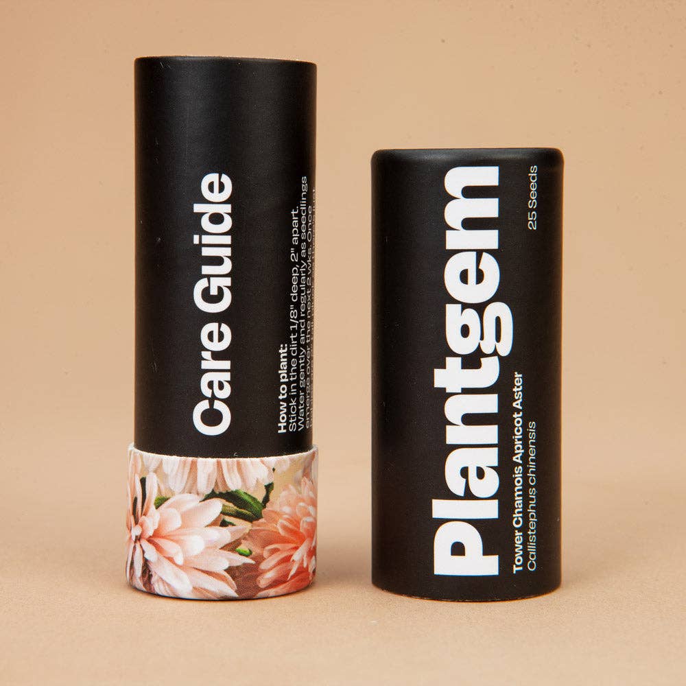 Tower Chamois Apricot Aster - 100 Seeds