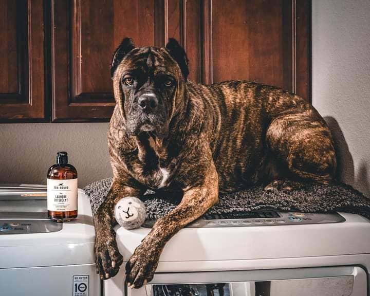 Pet Natural Laundry Detergent