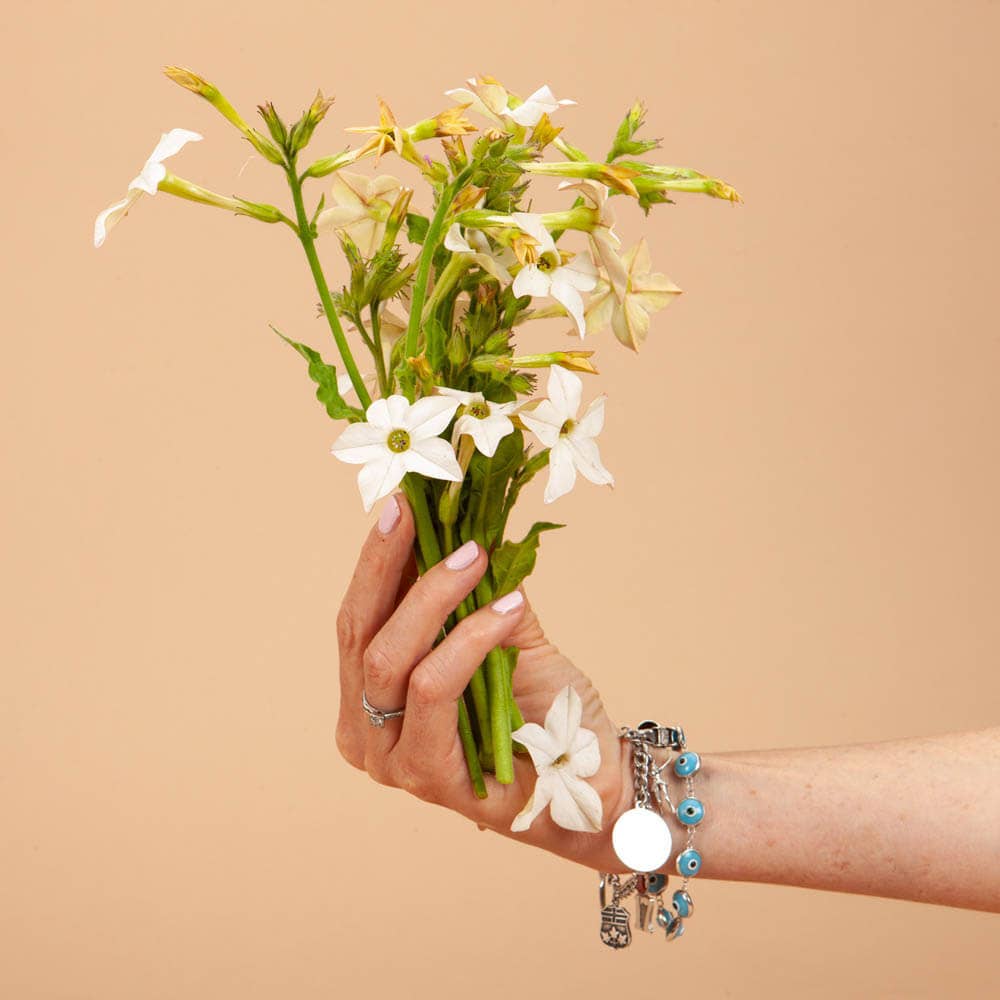 White Perfume Nicotiana - 50 Seeds