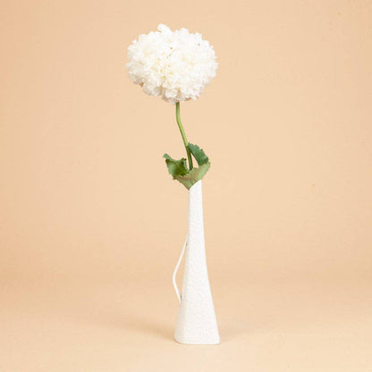 Cream Peony Breadseed Poppy - 25 Seeds