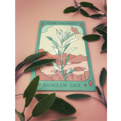 Broadleaf Sage Tarot Garden