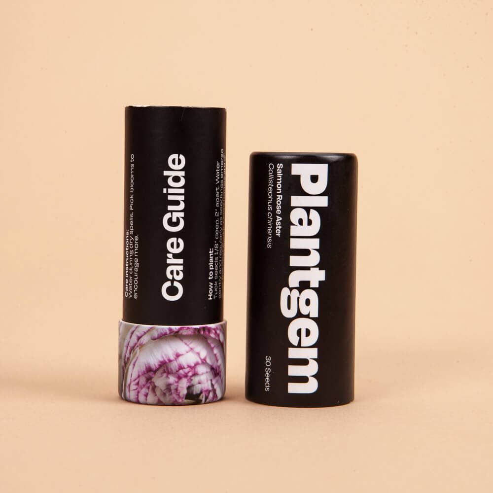 Misty Lavender Larkspur - 100 Seeds