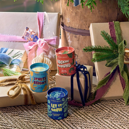 Holiday Complimentary Colors Grow Kits