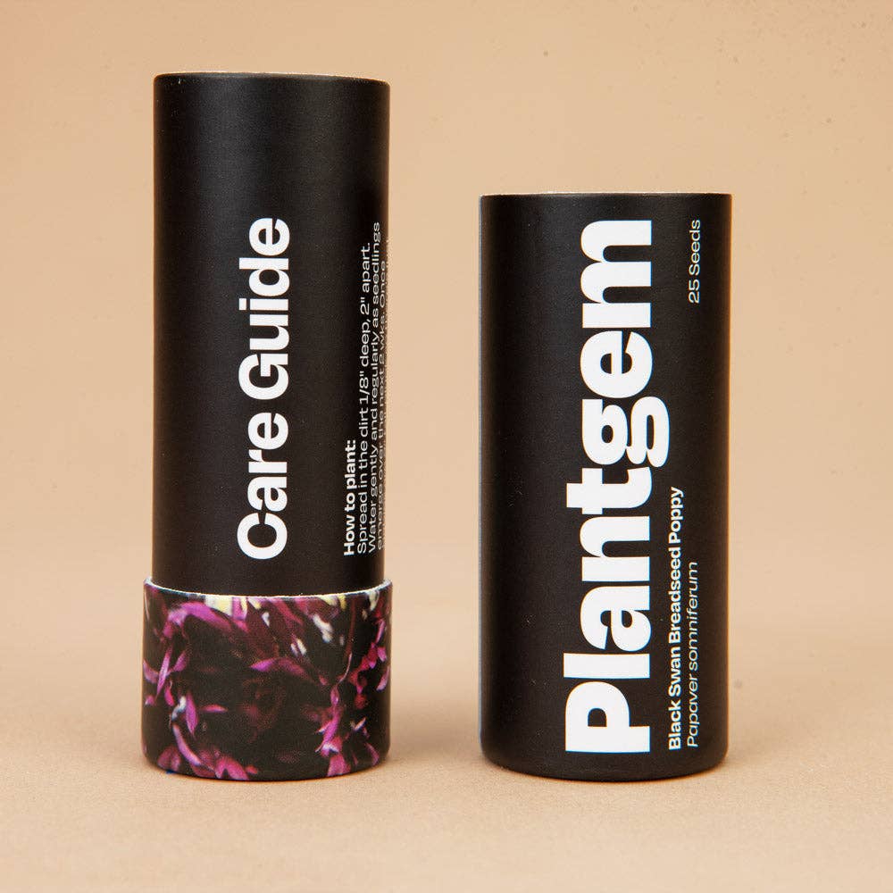 Black Swan Breadseed Poppy - 100 Seeds