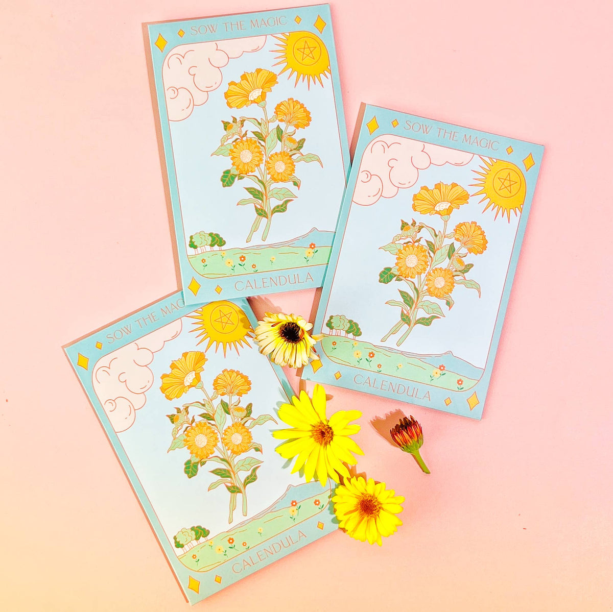 Calendula Tarot Garden