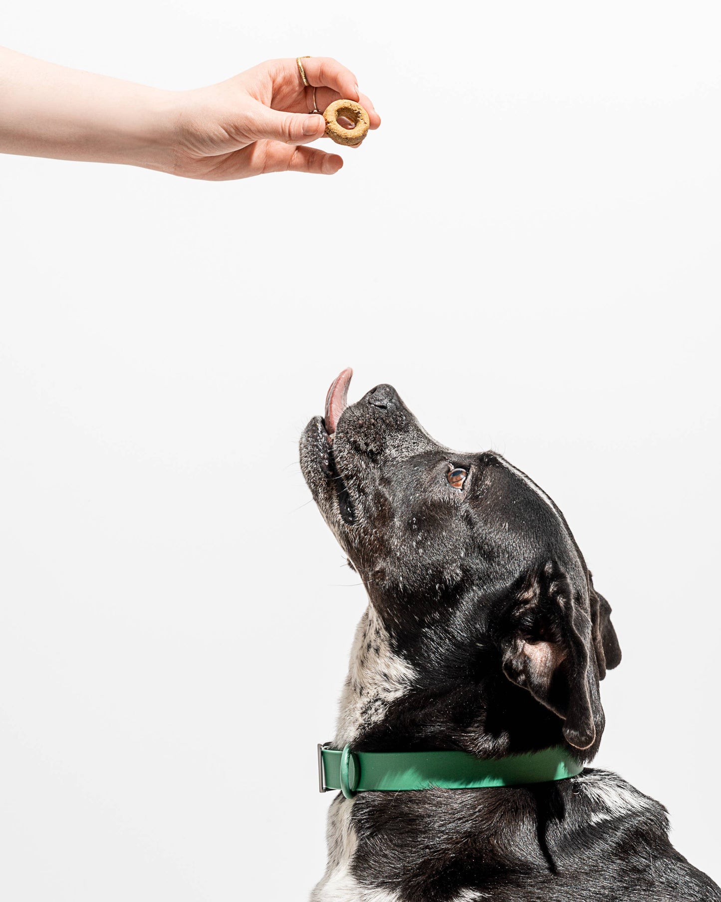 Pumpkin Spice Vegan Dog Treats