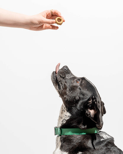 Pumpkin Spice Vegan Dog Treats