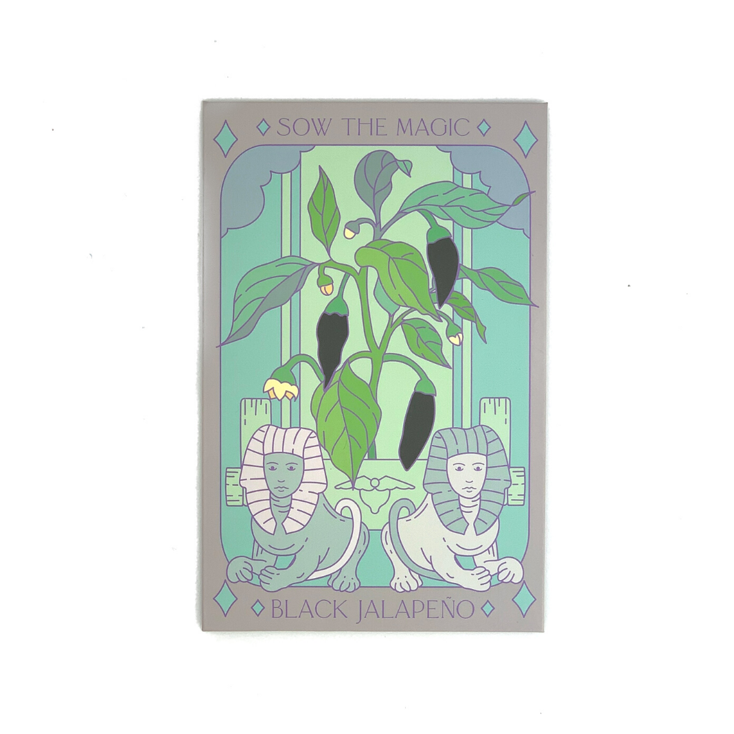 Black Hungarian Jalapeño Tarot Garden