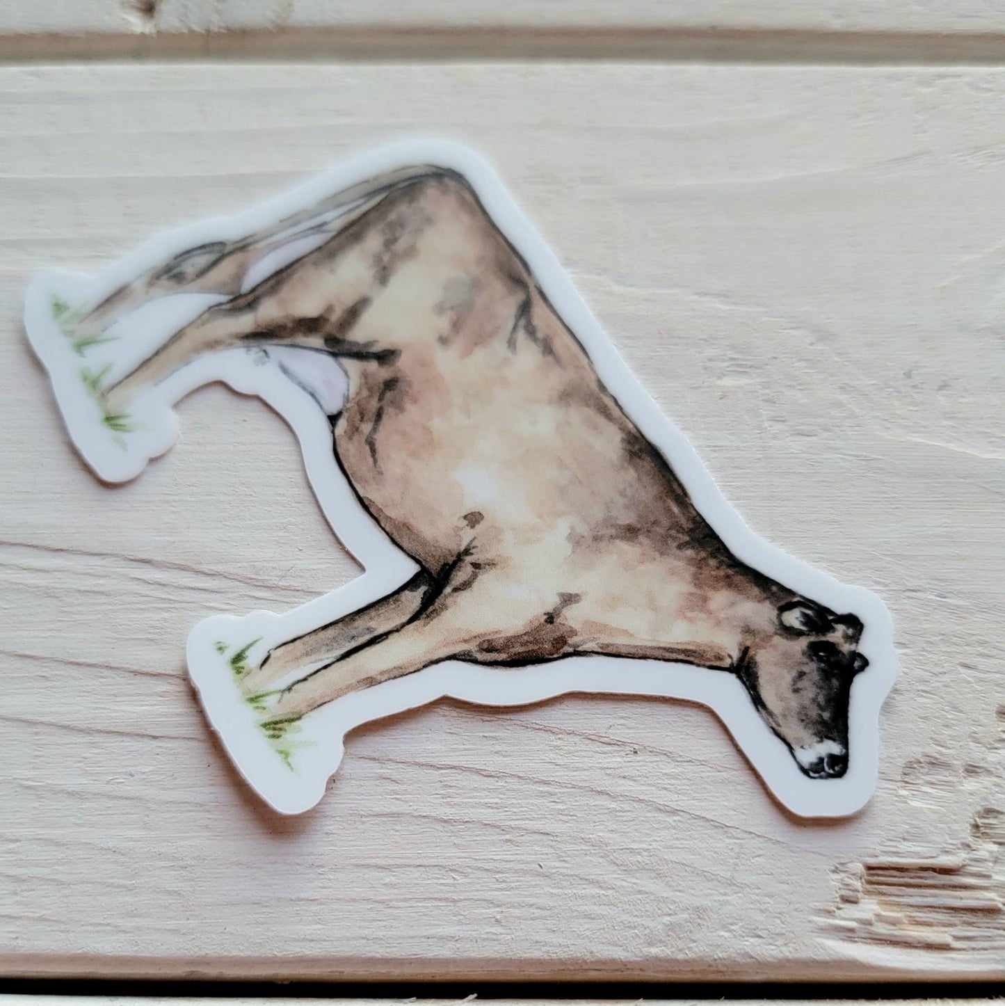 Jersey Cow Vinyl Sticker