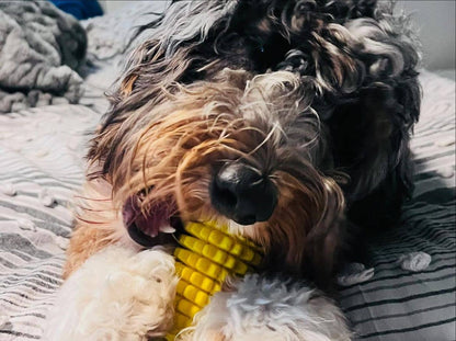 Corn-Shaped Dental Chew Dog Toy