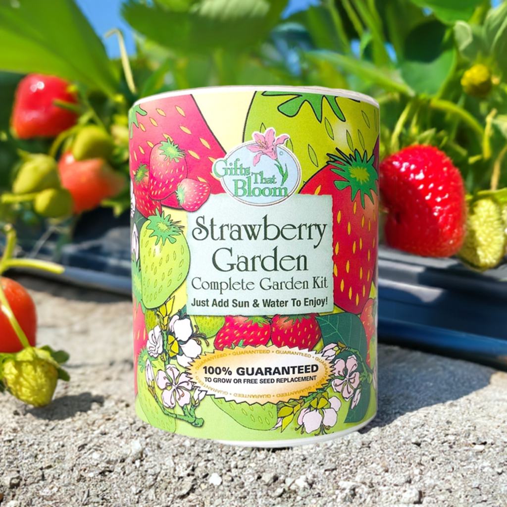 Strawberry Garden Seed Kit