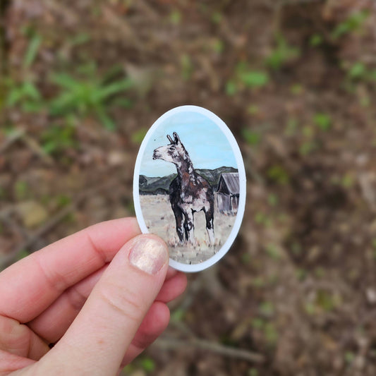 Paco Vinyl Sticker
