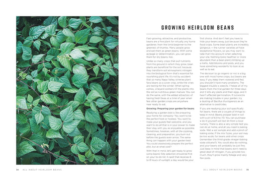 The Rancho Gordo Heirloom Bean Guide by Steve Sando and Julia Newberry