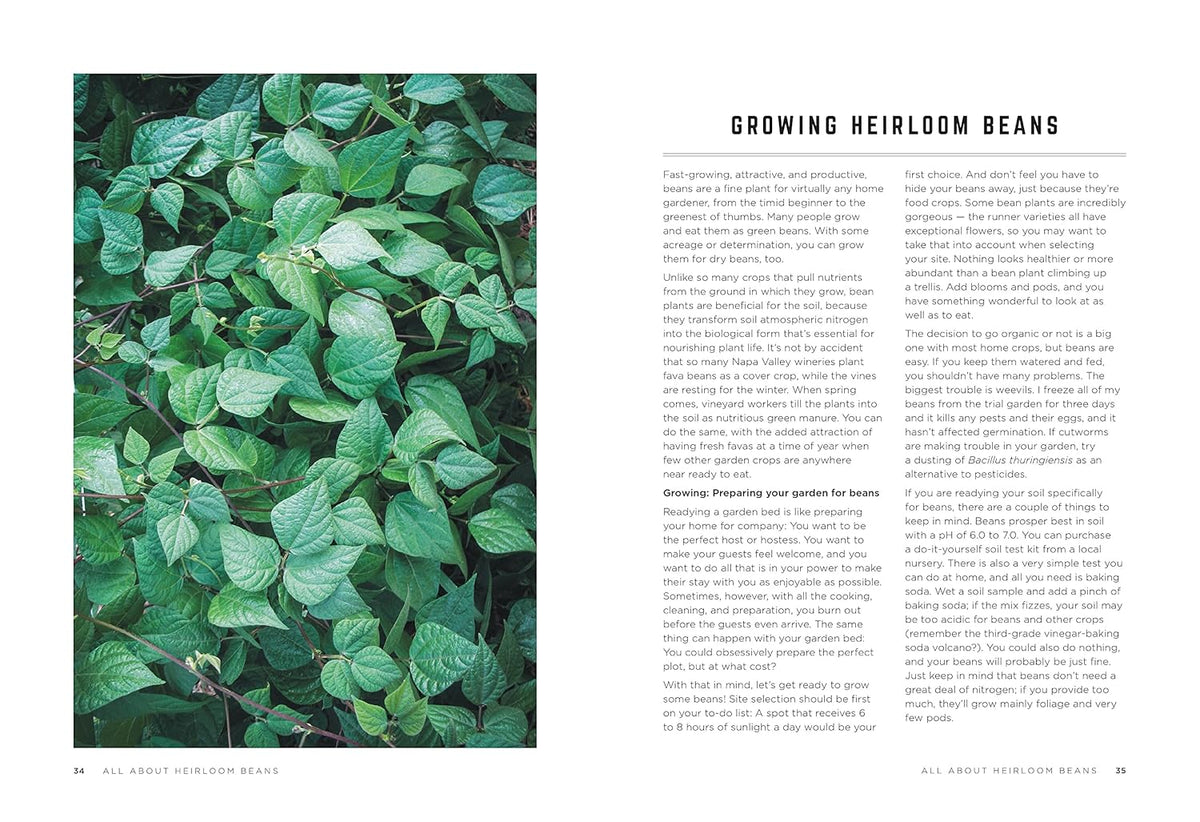 The Rancho Gordo Heirloom Bean Guide