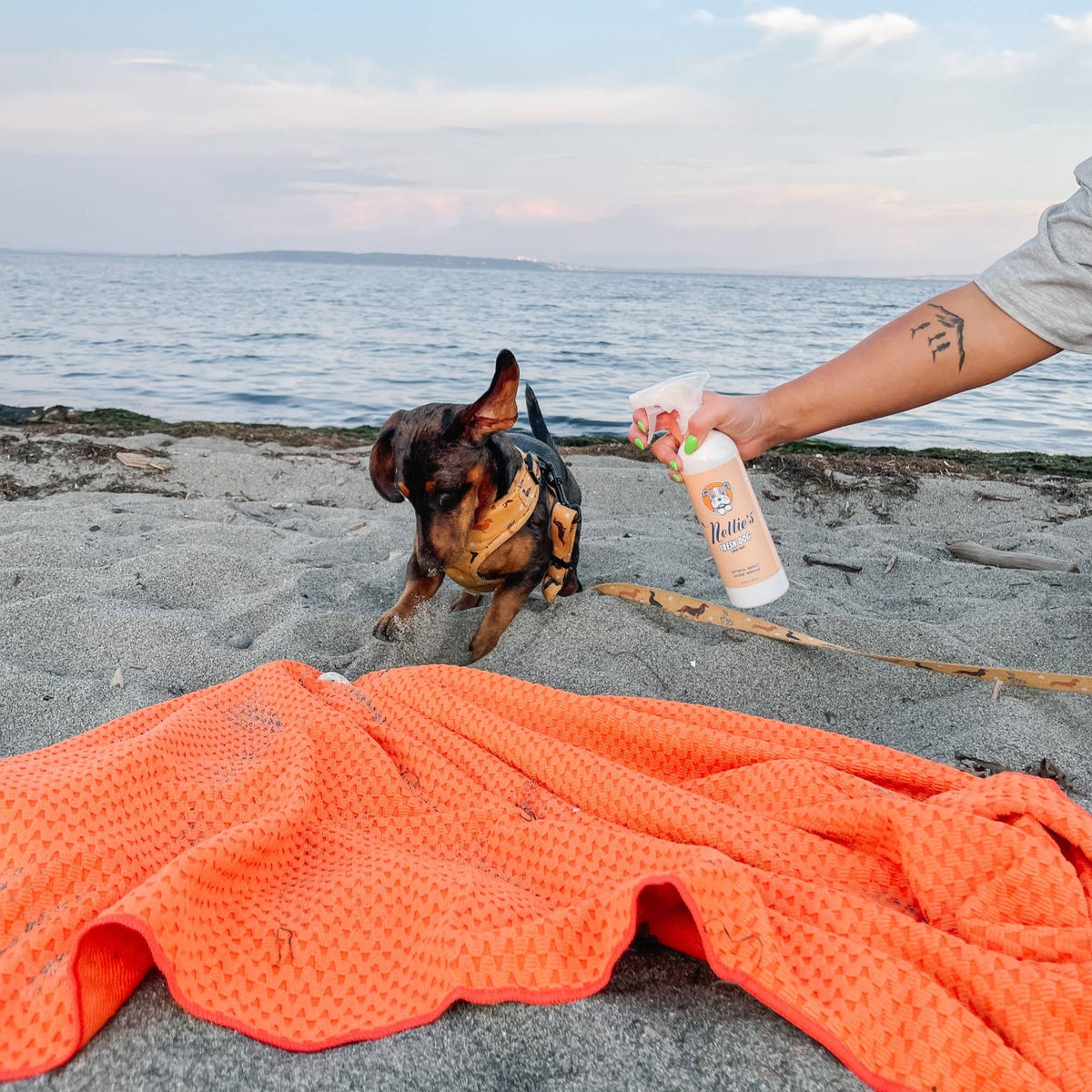 Fresh Dog Waterless Dog Shampoo