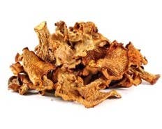 Dried Chanterelle Mushroom