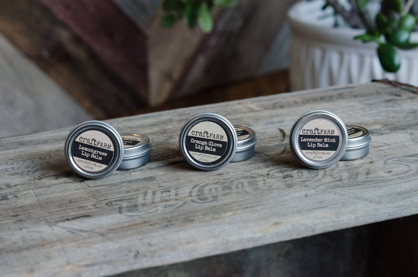 Lip Balm Tin