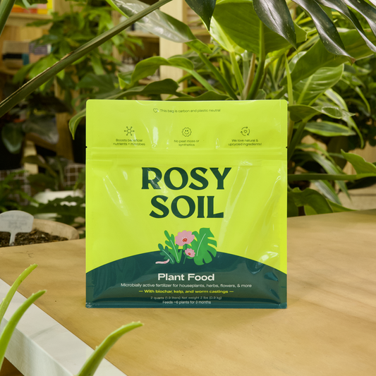 2qt Plant Food