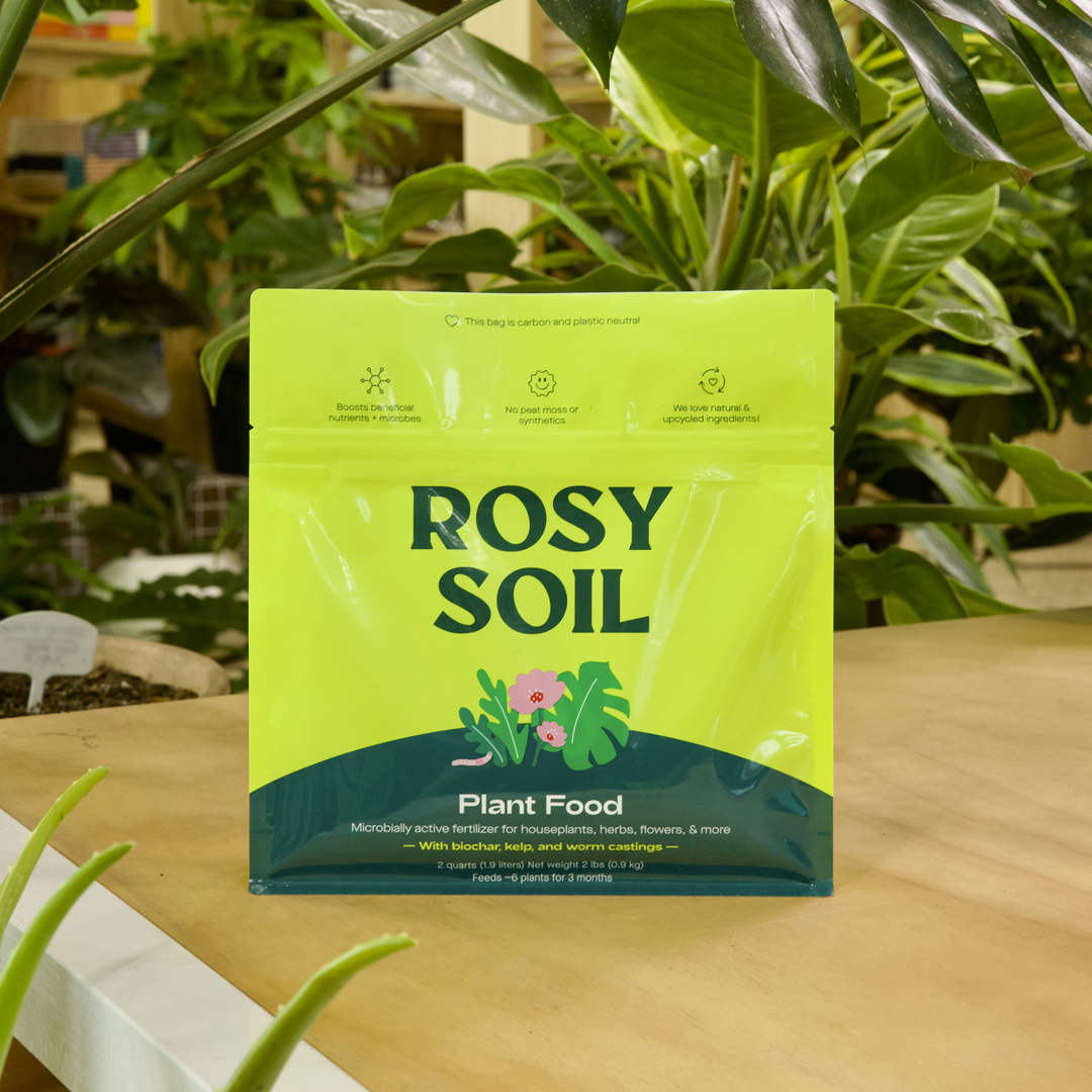 2qt Plant Food