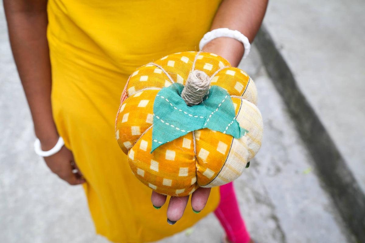 Saree Pumpkin, Large