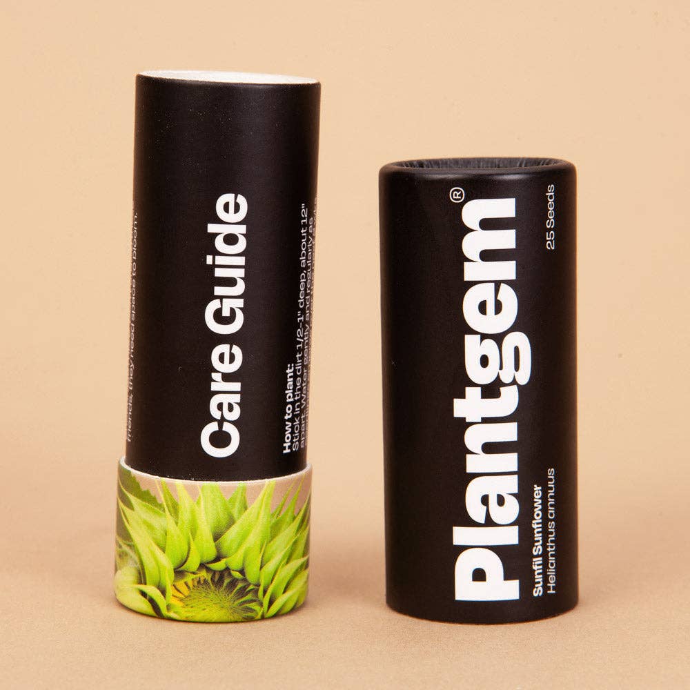 Sunfill Green Sunflower - 25 Seeds