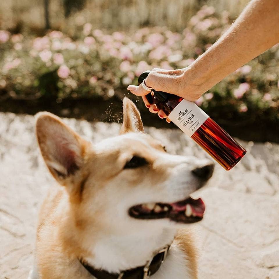 Pet Flea & Tick Spray