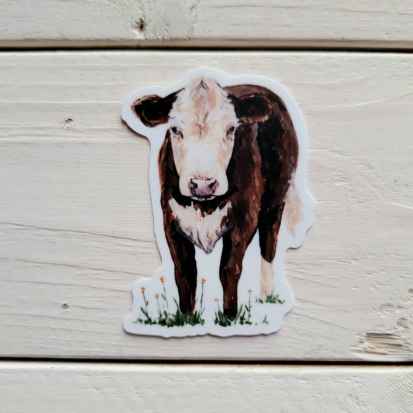 Hereford Red and White Cow Vinyl Sticker