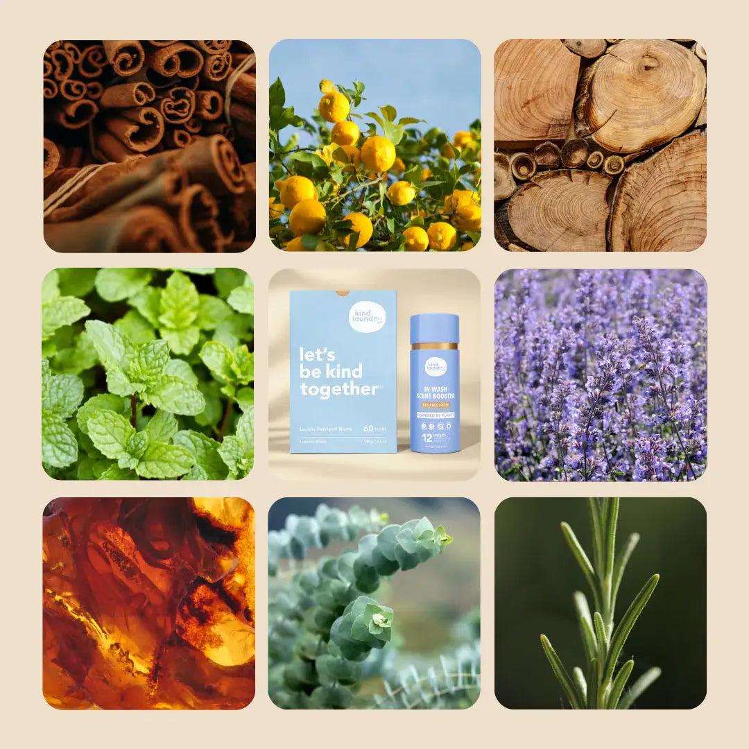 In Wash Scent Boosters, Lavender Dream