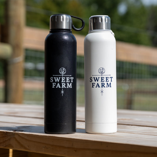 22 oz Stainless Steel Water Bottle