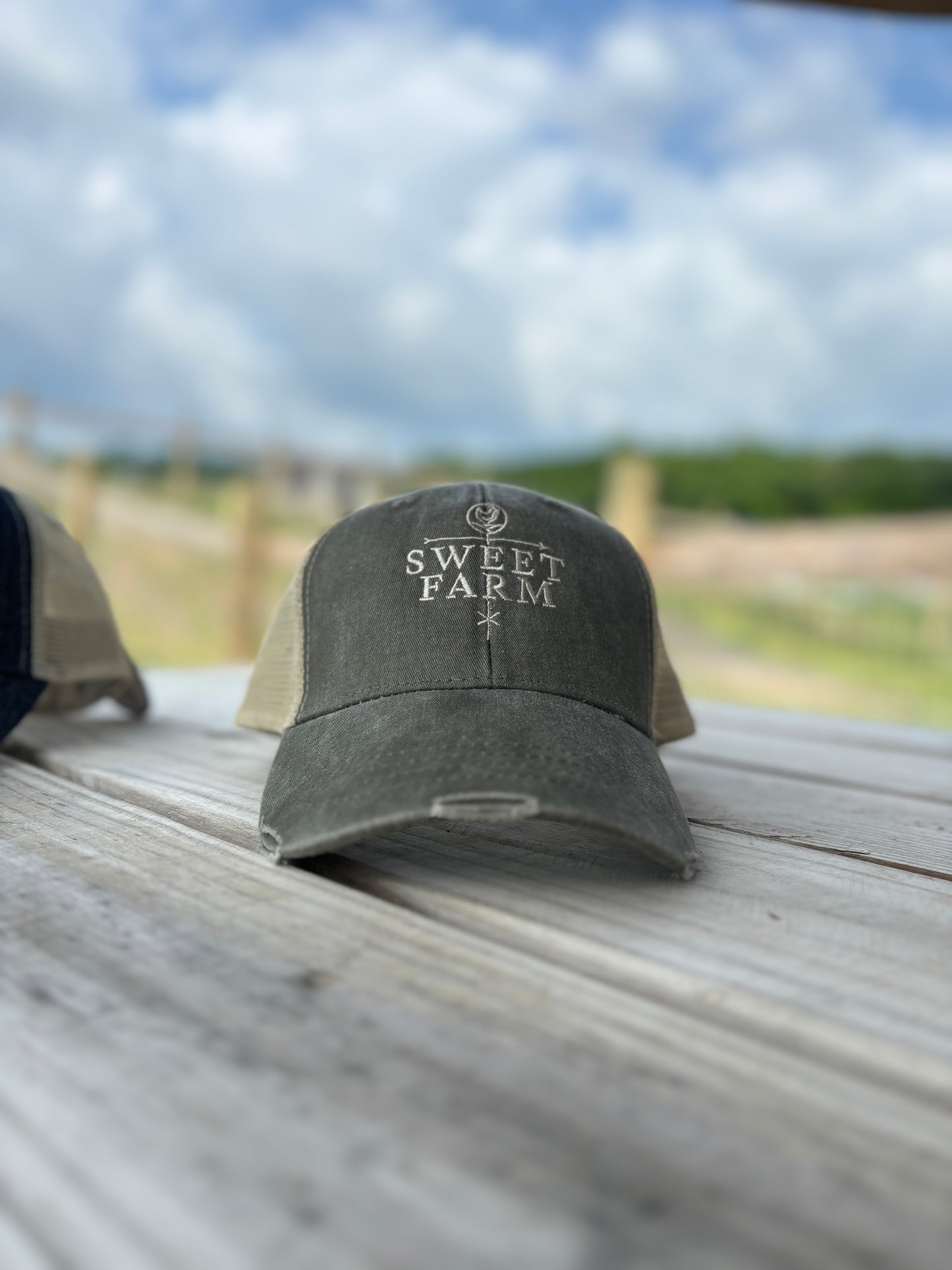 Logo Snapback Hat