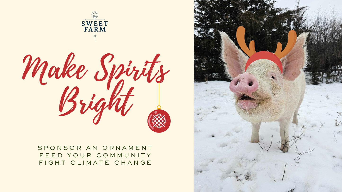 Sponsor an ornament