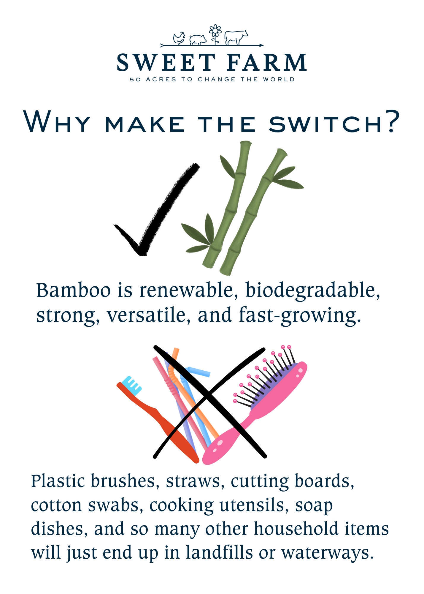 Bamboo Hair Brush