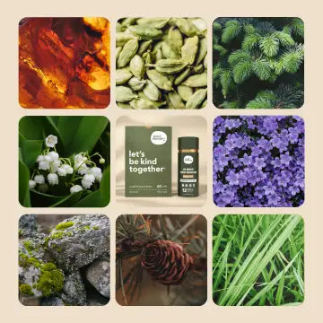 Wood Haven Scent Booster Travel Packs