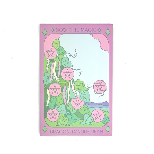 Dragon Tongue Bush Bean Tarot Garden