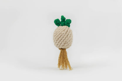 Sustainable Fruit and Vegetable Rope Dog Toys