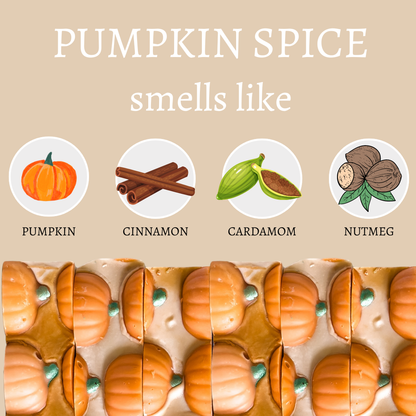 Pumpkin Spice Handmade Bar Soap