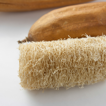 Luffa Gourd Garden