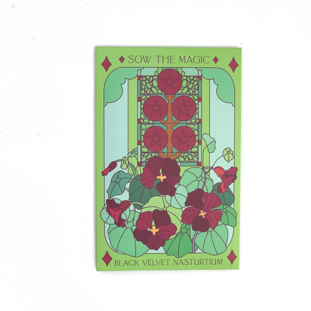 Black Velvet Nasturtium Tarot Garden