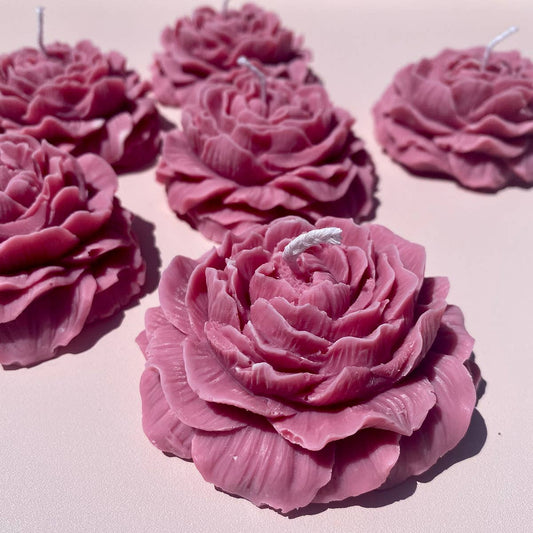 Peony Candle, Rose
