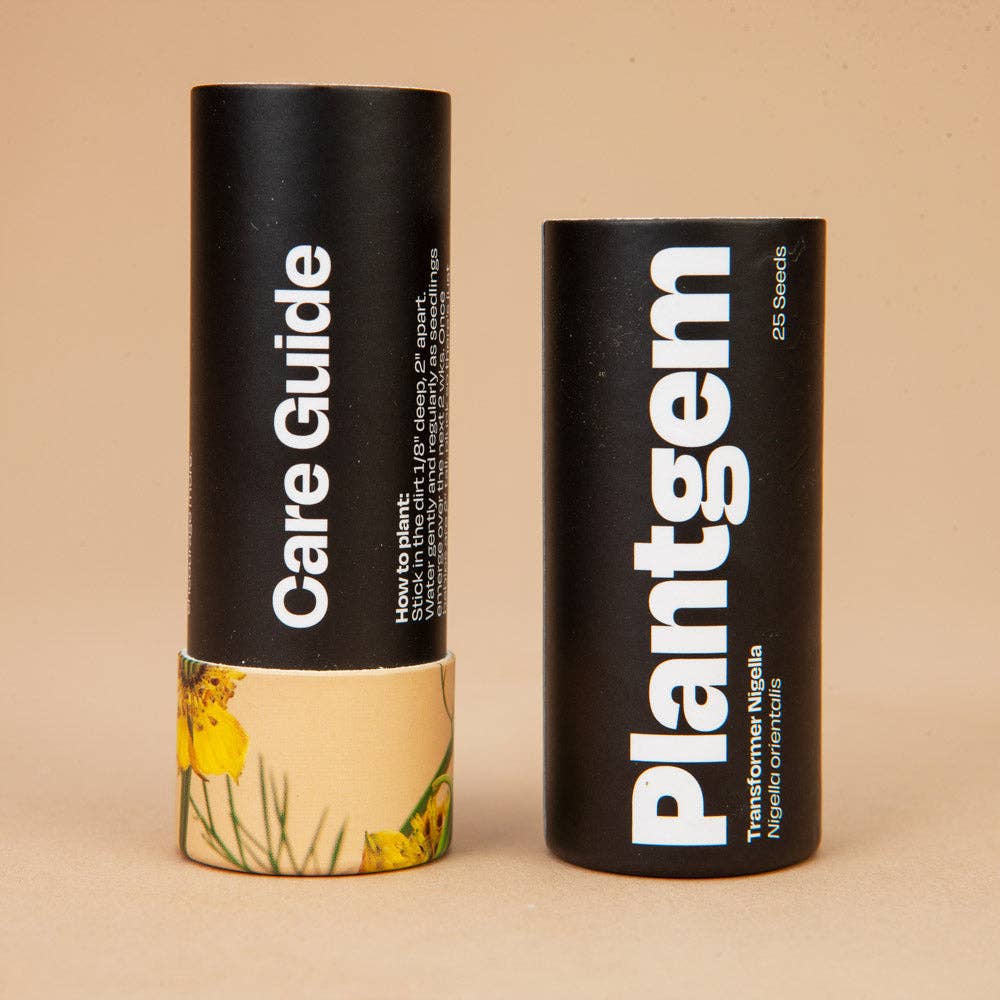 Transformer Nigella - 100 Seeds