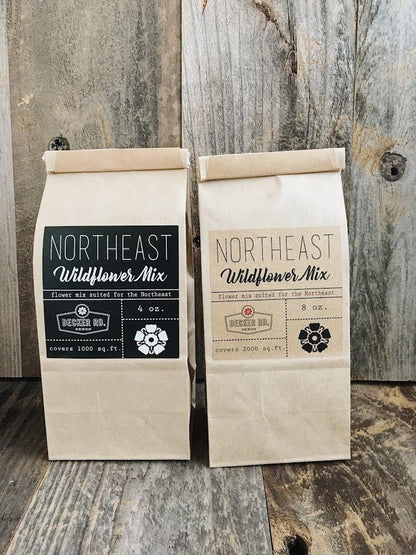 Wildflower Seeds 'Northeast Mix'