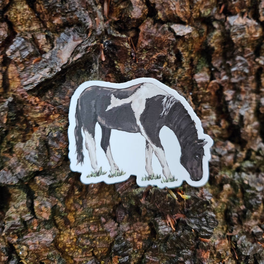 Black and White Horse Vinyl Sticker