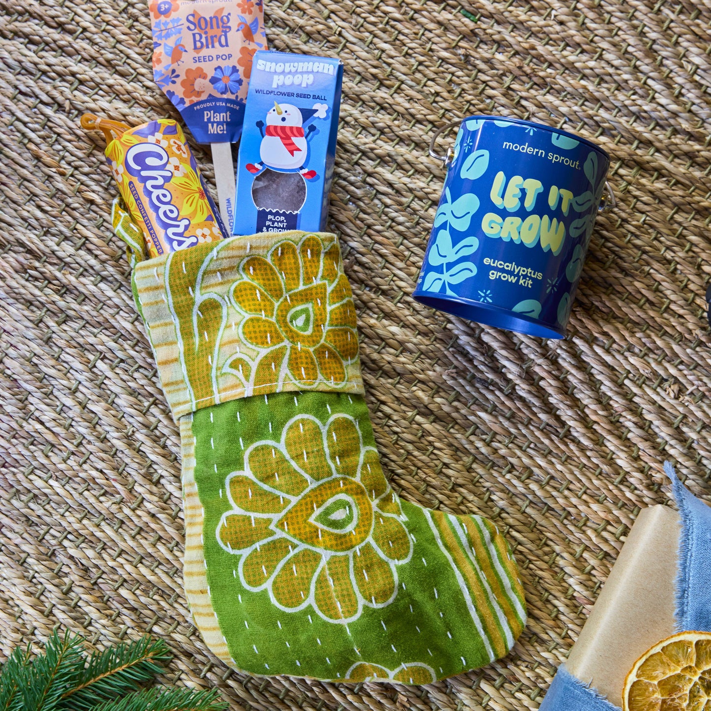 Holiday Complimentary Colors Grow Kits