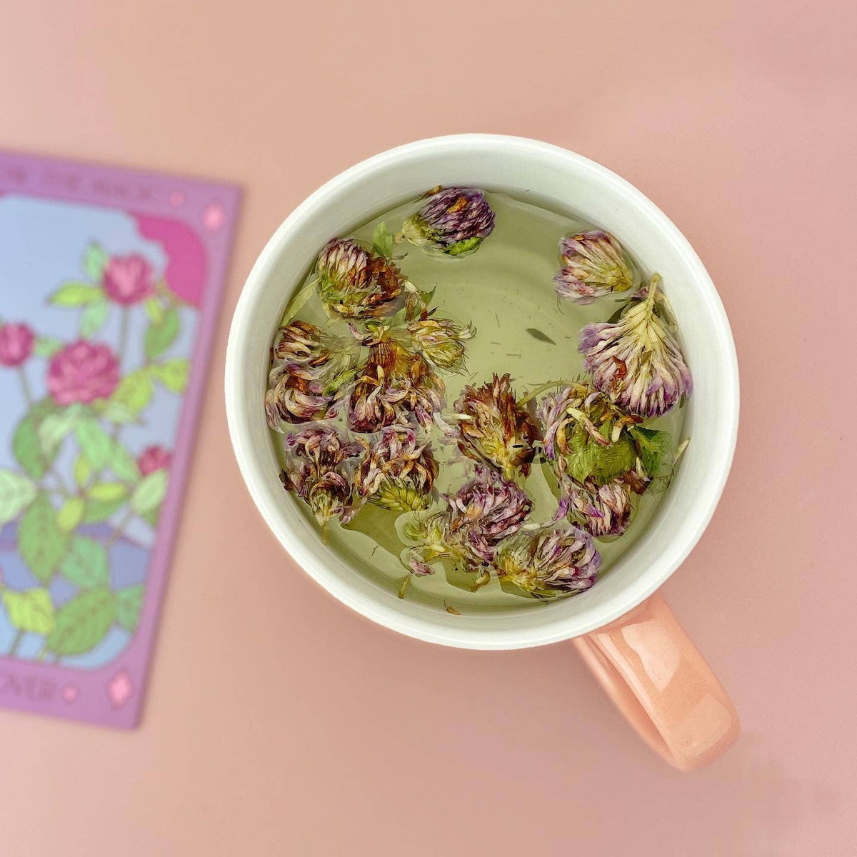 Purple Clover Tarot Garden