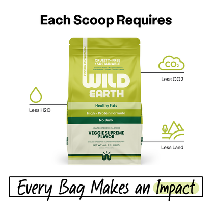Vegan Dog Food, 4lbs
