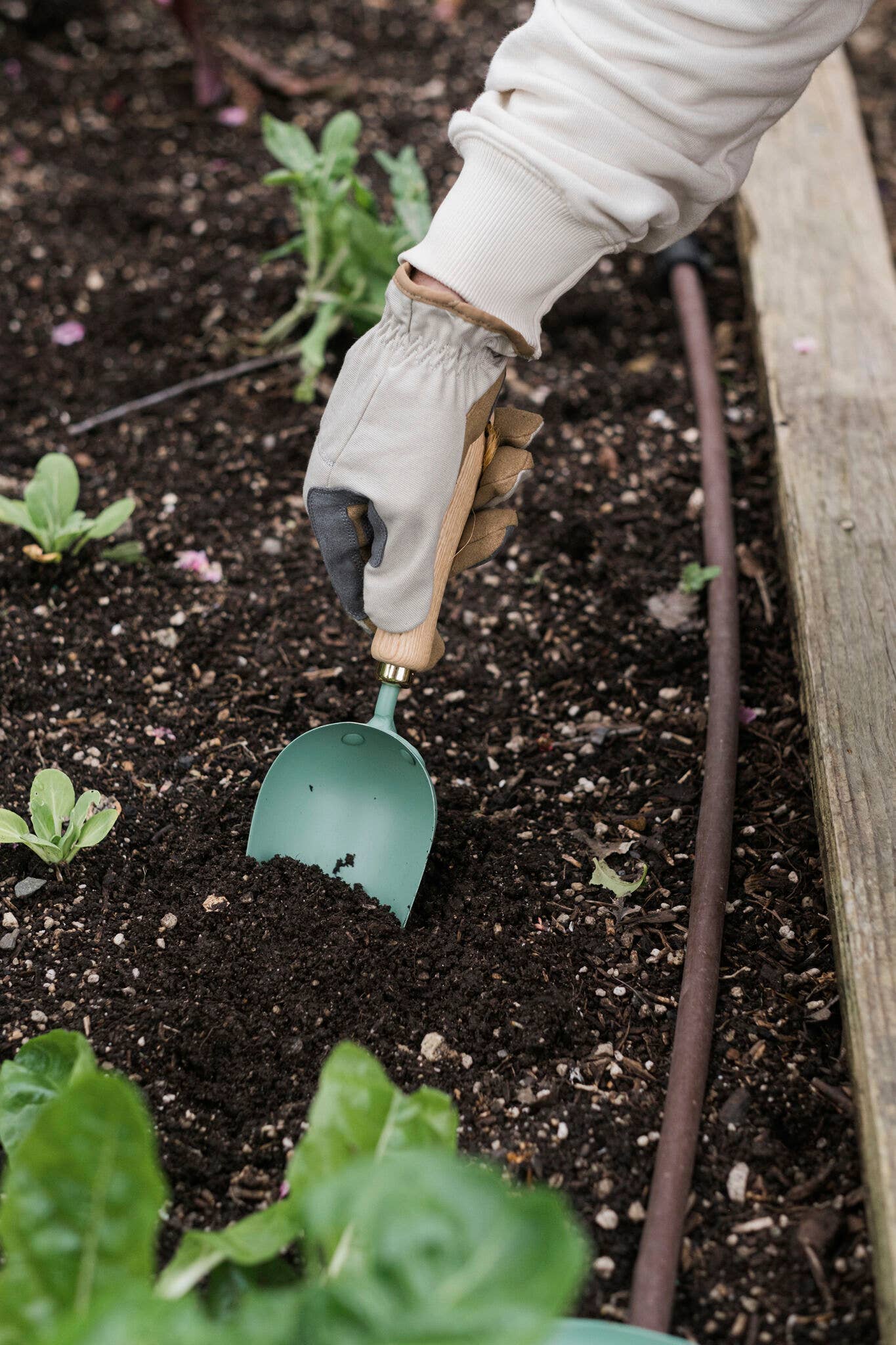 Garden Scoop