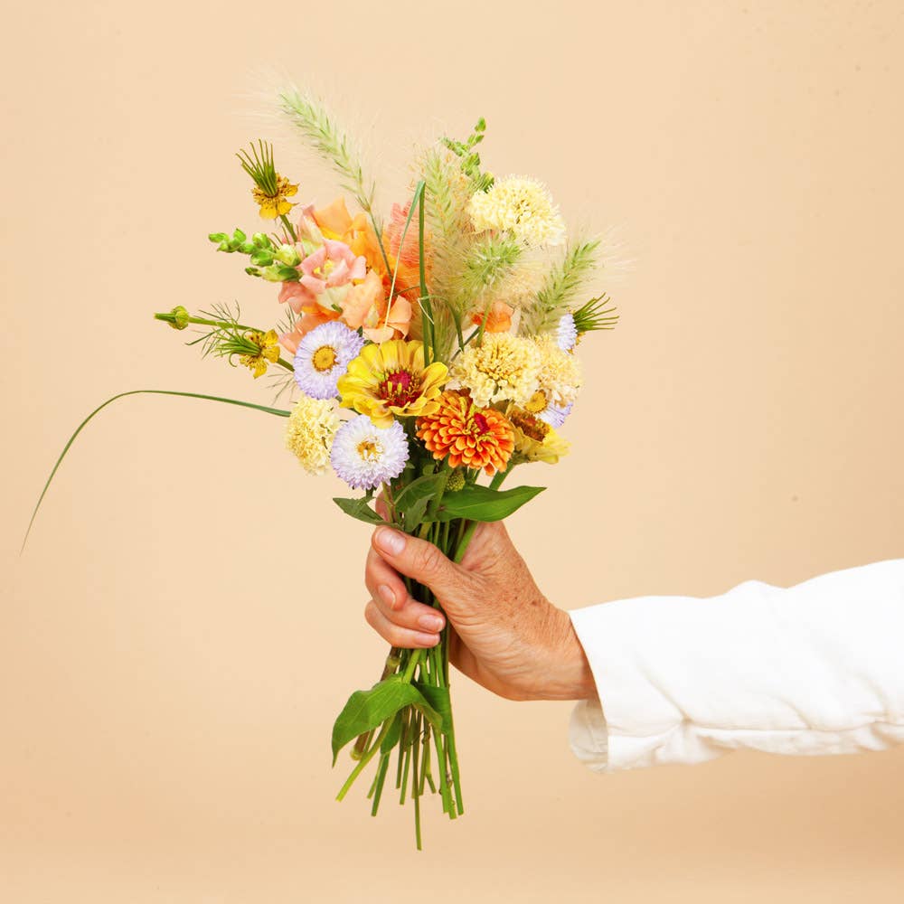 Cut Flower Garden in a Box